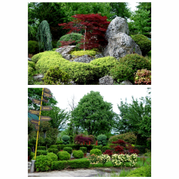 ХОРТИ ЕКСПЕРТ МК